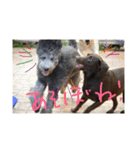 ラウラ先輩の日常1（個別スタンプ：15）