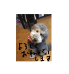 ラウラ先輩の日常1（個別スタンプ：17）