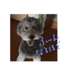 ラウラ先輩の日常1（個別スタンプ：18）