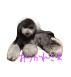 ラウラ先輩の日常1（個別スタンプ：21）