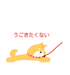 ワン ころすけ（個別スタンプ：2）