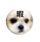 まーぶる（個別スタンプ：9）