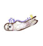 まーぶる（個別スタンプ：12）