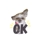 まーぶる（個別スタンプ：14）