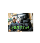 animalkz（個別スタンプ：4）