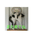 animalkz（個別スタンプ：10）