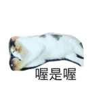 Maureen s lucid dream（個別スタンプ：1）