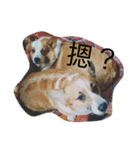 Maureen s lucid dream（個別スタンプ：14）