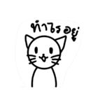 white caty（個別スタンプ：1）