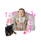 とらとアロ（個別スタンプ：2）