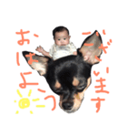 とらとアロ（個別スタンプ：3）
