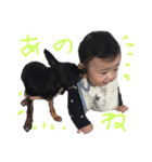 とらとアロ（個別スタンプ：11）