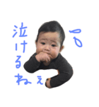 とらとアロ（個別スタンプ：15）