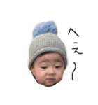 とらとアロ（個別スタンプ：16）