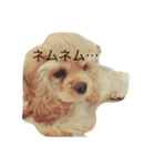 えり＆りん（個別スタンプ：3）