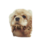 えり＆りん（個別スタンプ：4）