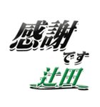 サイン風名字シリーズ【辻田さん】デカ文字（個別スタンプ：5）