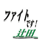 サイン風名字シリーズ【辻田さん】デカ文字（個別スタンプ：17）