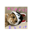 仲良し猫家族2（個別スタンプ：9）