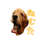 mjimanji（個別スタンプ：4）