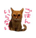 mjimanji（個別スタンプ：6）