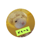 Hamsterみーちゃん（個別スタンプ：7）