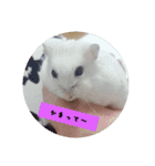 Hamsterみーちゃん（個別スタンプ：8）
