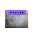 Hamsterみーちゃん（個別スタンプ：14）