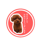 noel ！！！！！！（個別スタンプ：6）