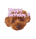 noel ！！！！！！（個別スタンプ：10）