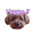 noel ！！！！！！（個別スタンプ：11）