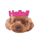 noel ！！！！！！（個別スタンプ：12）