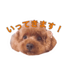 noel ！！！！！！（個別スタンプ：14）