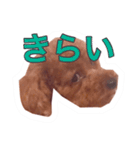 noel ！！！！！！（個別スタンプ：15）