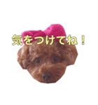noel ！！！！！！（個別スタンプ：17）