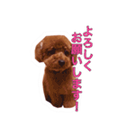 noel ！！！！！！（個別スタンプ：19）