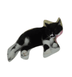 fatcat wish（個別スタンプ：5）