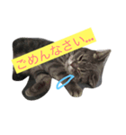みんと2（個別スタンプ：1）