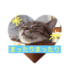 みんと2（個別スタンプ：3）