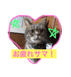 みんと2（個別スタンプ：5）