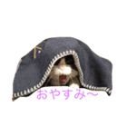 千代錦（個別スタンプ：6）