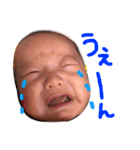 y__stamp（個別スタンプ：5）