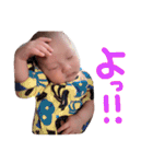 y__stamp（個別スタンプ：8）