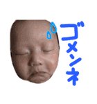 y__stamp（個別スタンプ：12）