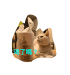 Three small meow（個別スタンプ：6）