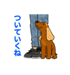 サーフィン犬（個別スタンプ：20）