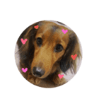 my dog moka（個別スタンプ：7）