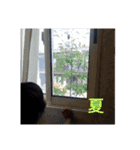 たかかん兄弟（個別スタンプ：15）
