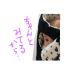 がぁくん（個別スタンプ：4）