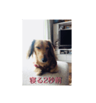 寝たいときに使うスタンプ（個別スタンプ：5）